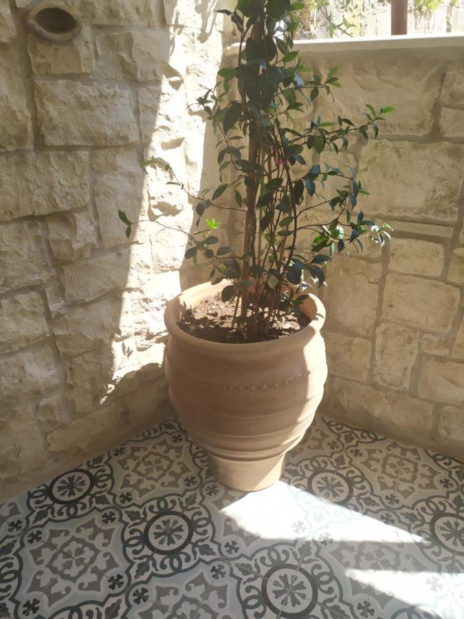 Chrisanthi Appartement Parga